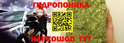 PSILOCYBIN Ярославль