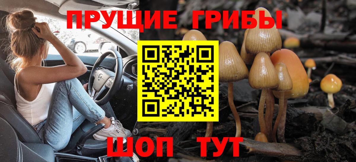 Галлюциногенные грибы Psilocybine cubensis Елизово