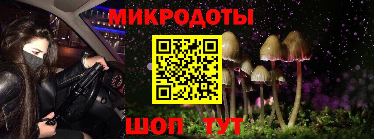 Елизово  Псилоцибиновые грибы GOLDEN TEACHER  Вход с VPN 